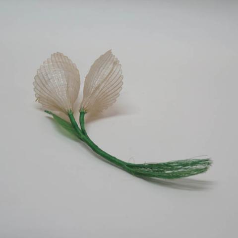 Margarita Valenzuela