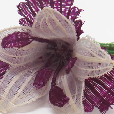 Margarita Valenzuela