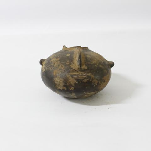 Mario Henríquez Urzúa