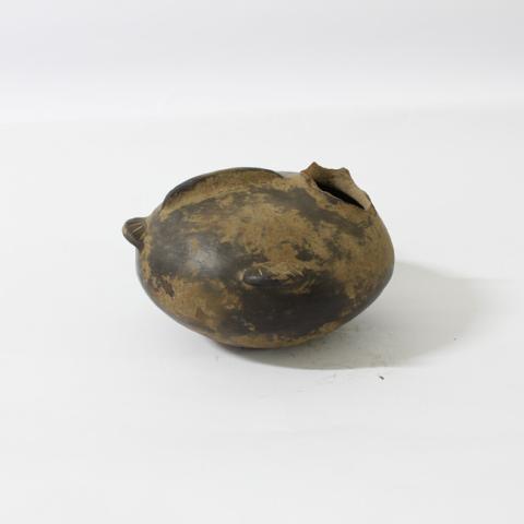 Mario Henríquez Urzúa