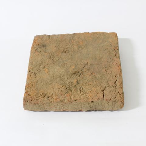 Mario Henríquez Urzúa