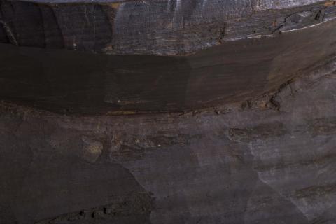 Gastón Calliñir Schifferli